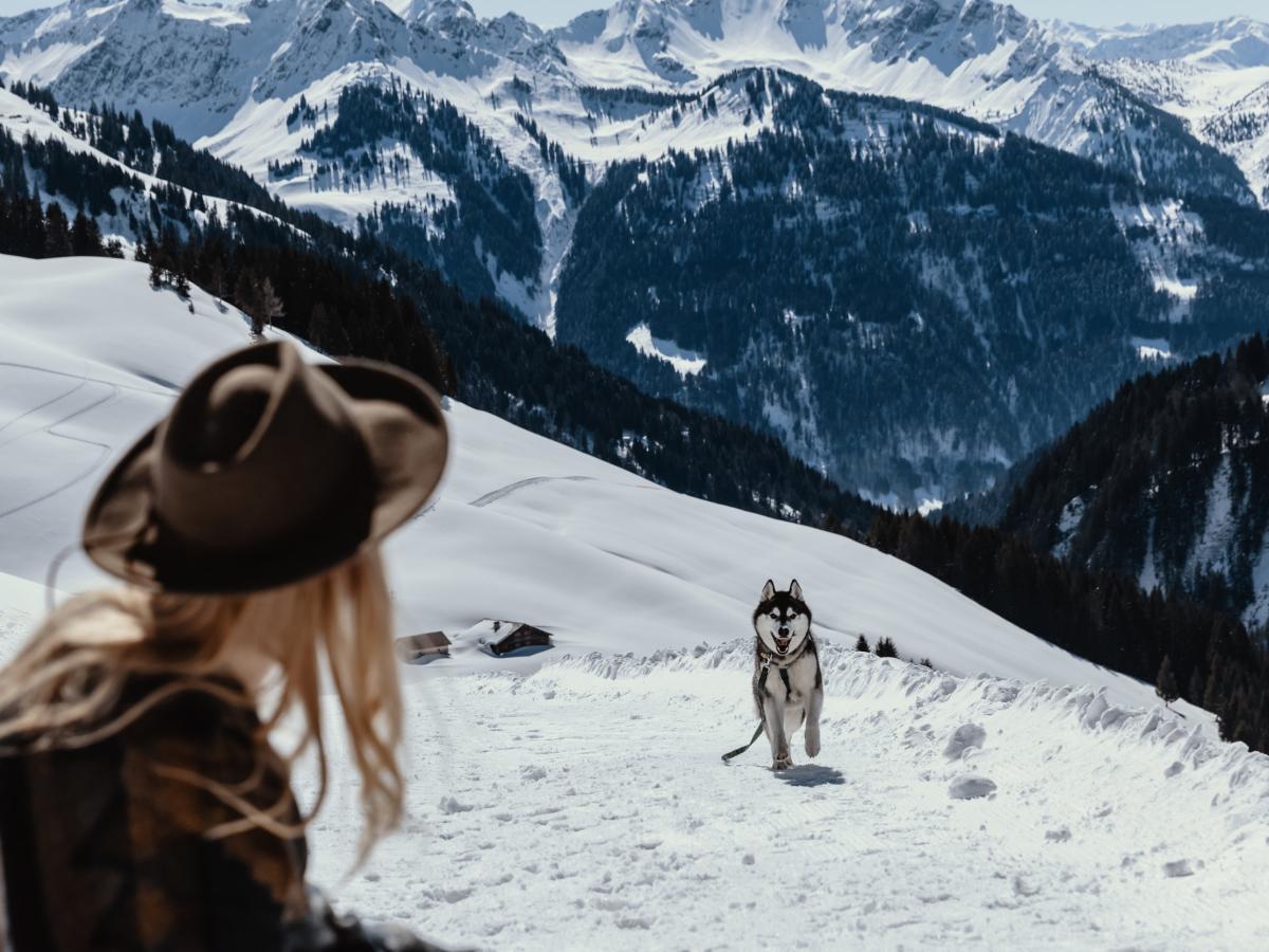 Winterwandern mit Hund in Damüls